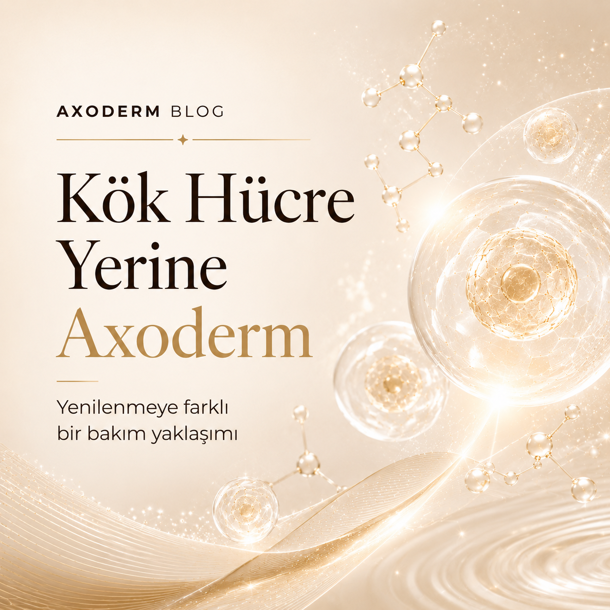 Kök Hücre Yerine Axoderm